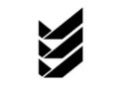 External Link Logo