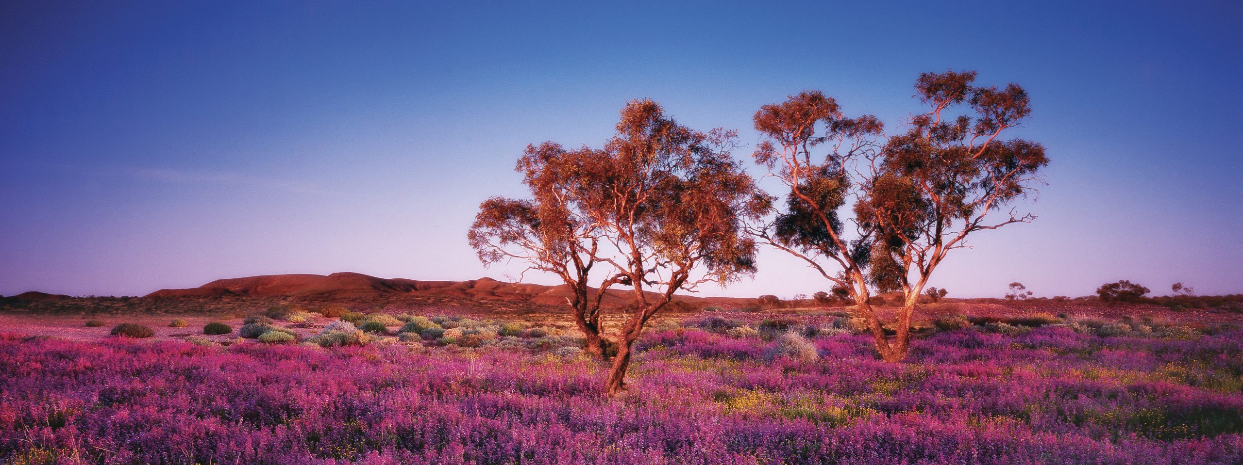 Beautiful South Australia